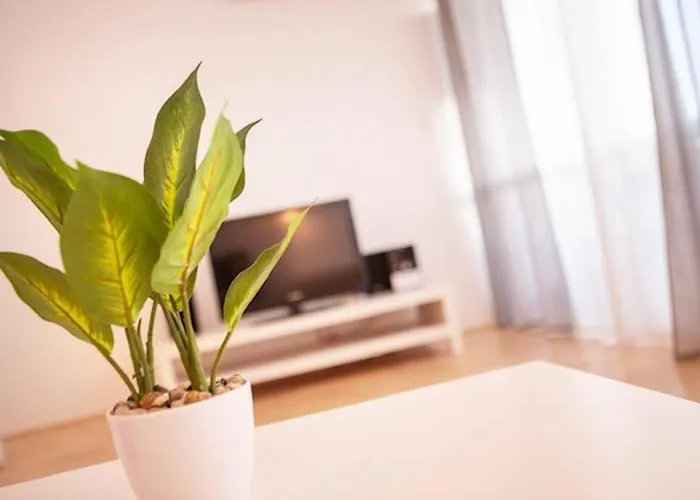Sea View W/ 2bd 1bt Free Street Parking * 리예카